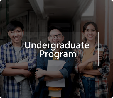Undergraduate Program Icon