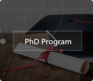 PhD Program Icon